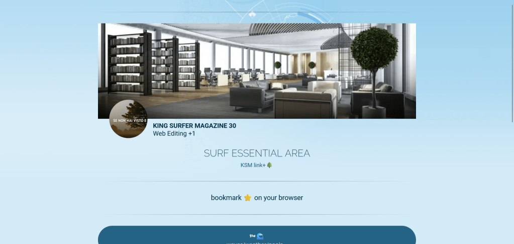 SURF ESSENTIAL AREA: bookmark ⭐️ on your&nbsp;browser